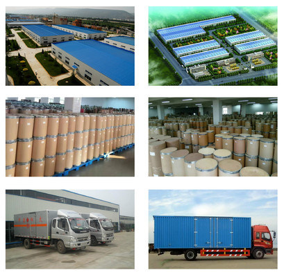 Shandong Hexon Technology Co., Ltd