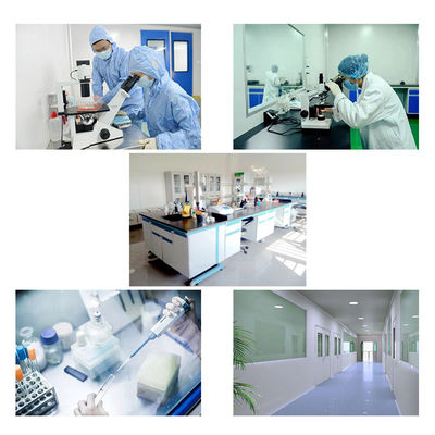 GS441524 Customized Top Grade GS 441524 FIP CAS No 1191237-69-0 for FIPV