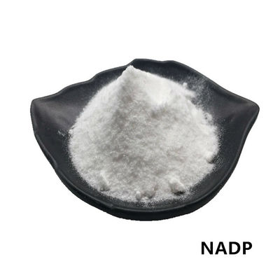 CAS 1184-16-3 NADP Powder 99%  Beta Nicotinamide Adenine Dinucleotide Phosphate