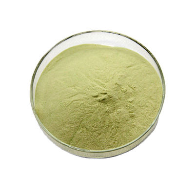 Organic Broccoli Seed Extract Powder Glucoraphanin CAS 21414-41-5 For Anti Cancer